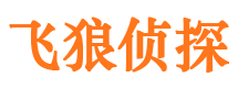 双峰市调查取证